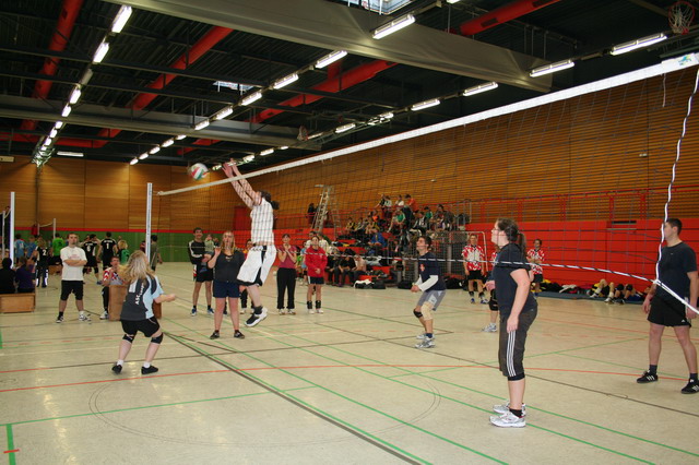 Image 13